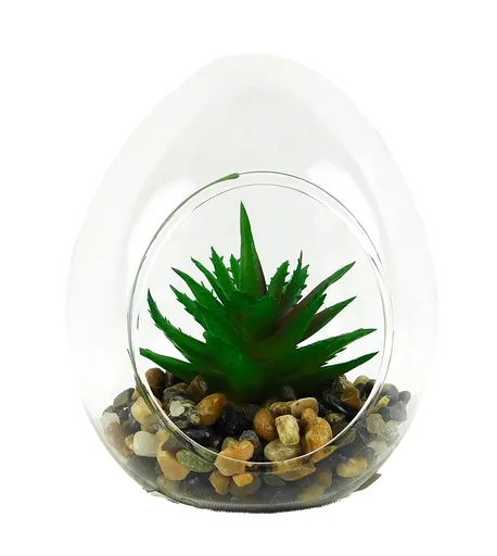 MAKRO - Sukulent v skle 10x12cm, sklo / umelá hmota
