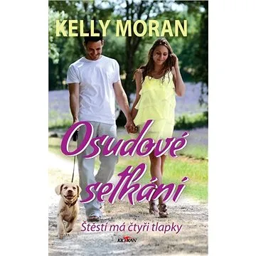 Osudové setkání (978-80-763-3228-7)