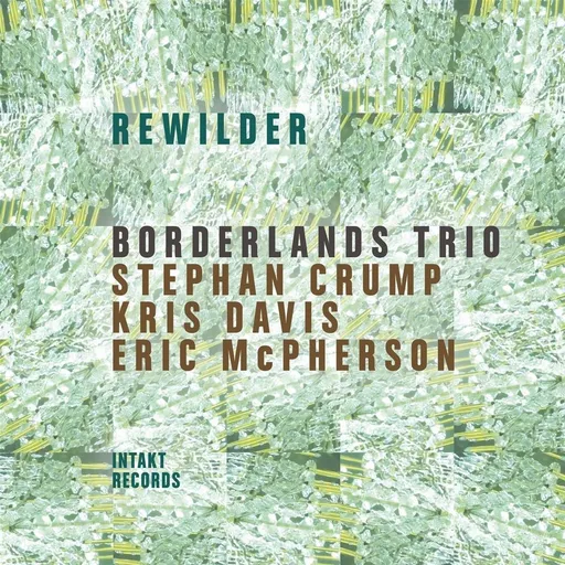 Borderlands Trio, REWILDER, CD