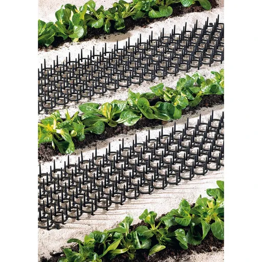 Die moderne Hausfrau Mřížka s trny na záhony