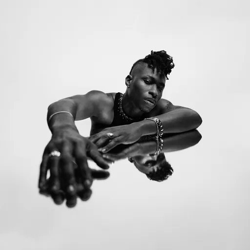 Lucky Daye - Algorithm / Vinyl / 2LP 2 LP