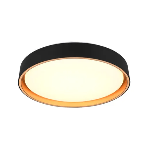 Reality Felis stropné svetlo čierna r64391080 RER64391080