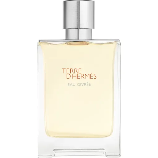 HERMÈS Terre d’Hermès Eau Givrée parfumovaná voda plniteľná pre mužov 100 ml