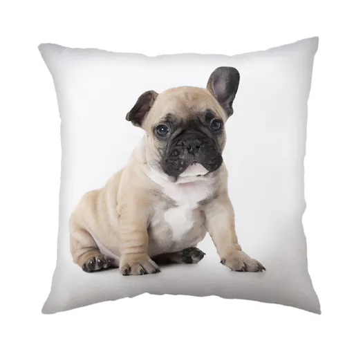 Jerry Fabrics Detský vankúšik s potlačou - Bulldog | 40 x 40 cm