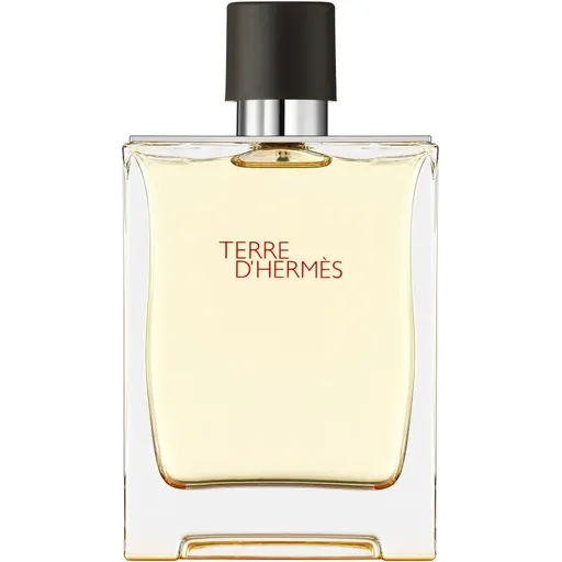 HERMÈS Terre d’Hermès toaletná voda pre mužov 200 ml